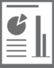 Rapportage icoon